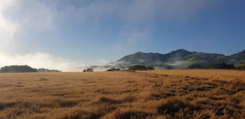 Kaipara on cusp of meteorological drought 